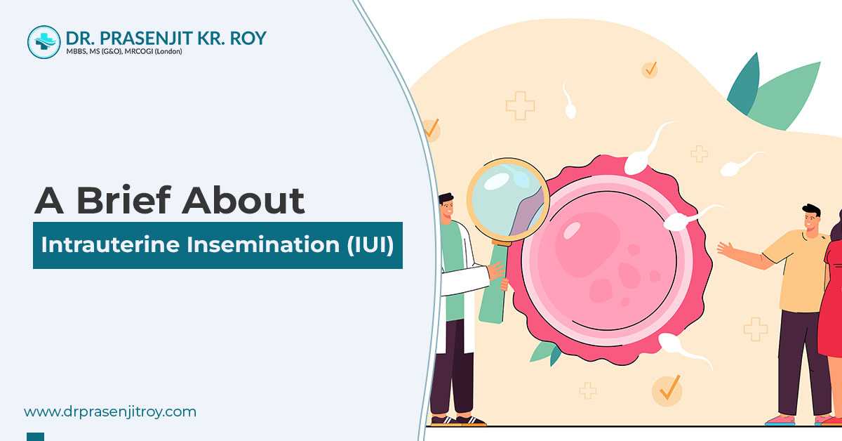 Conceive Fast With Best IUI Fertility Treatment