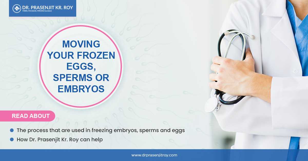 Moving Your Frozen Eggs, Sperms ,Or Embryos