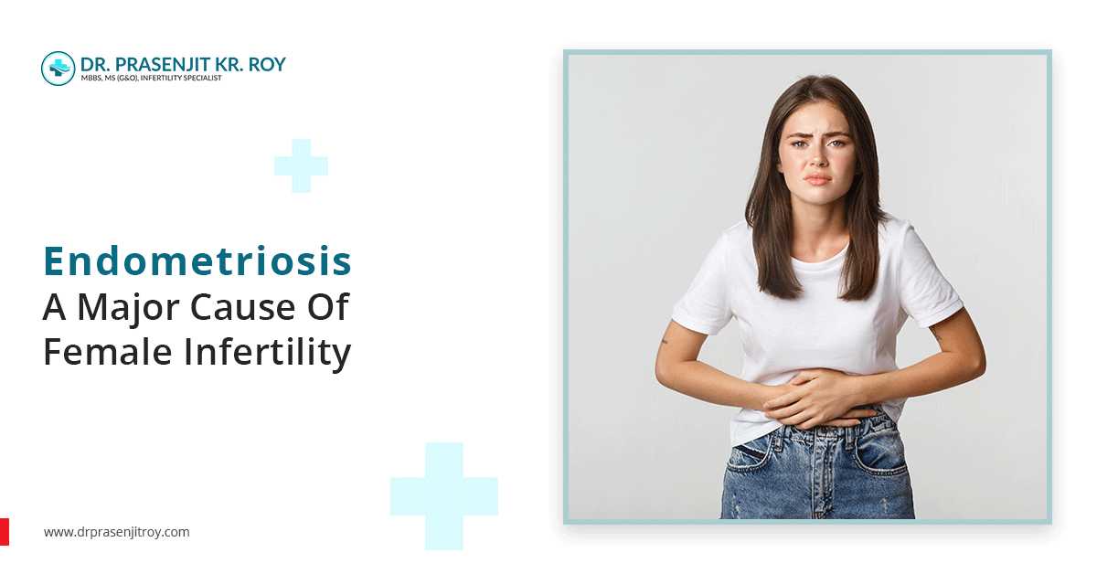 Best IVF doctor in Siliguri