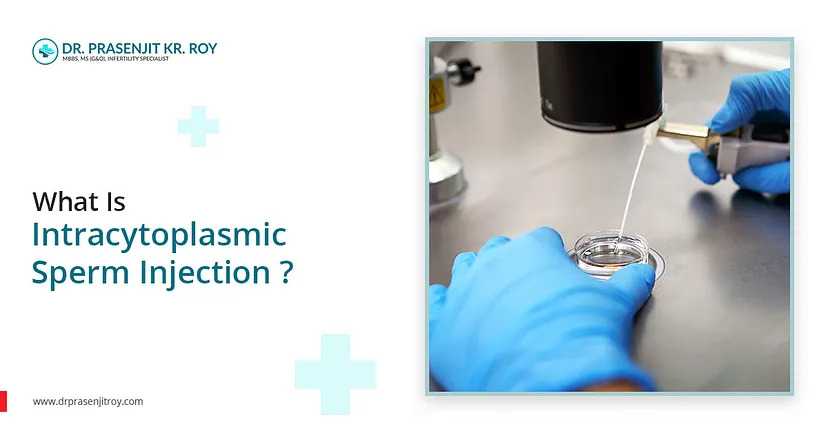 Intracytoplasmic Sperm Injection